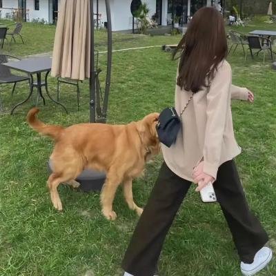 暗网