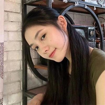 来自收容所的爱